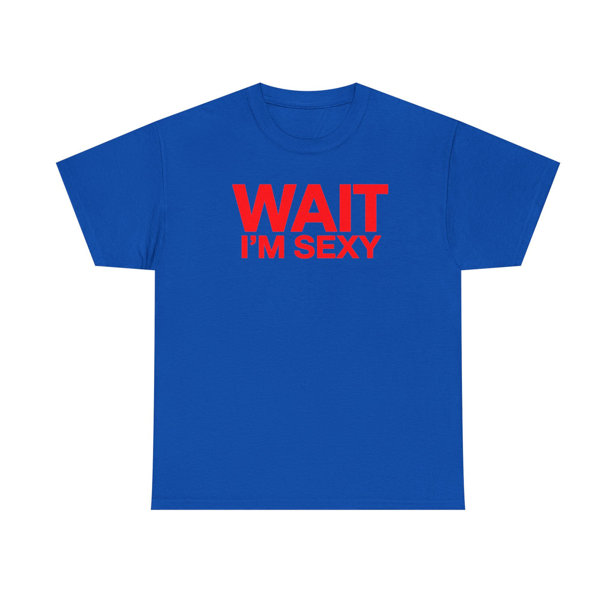 Wait I'm Sexy Graphic Tee —  Statement T-Shirt