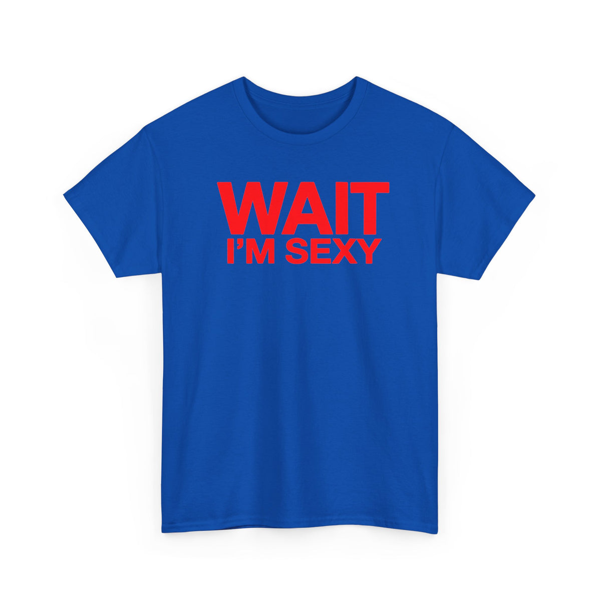 Wait I'm Sexy Graphic Tee —  Statement T-Shirt